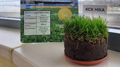 "Тут грали зірки "Олександрії". Футбольний клуб у якості сувеніра продавав шматочки футбольного поля