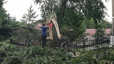 Через негоду на Волині деякі села досі без світла