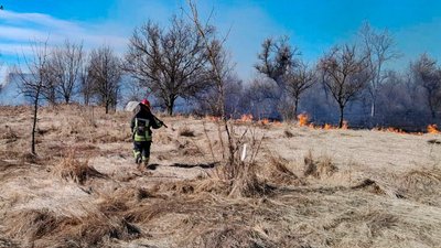 На Черкащині 11 березня 2024 року вигоріло понад чотири гектари