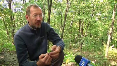На Житомирщині археологи розповіли, де саме знайшли залишки городища часів Київської Русі