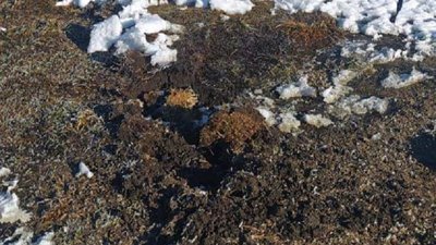 З градів обстріляли передмістя Сум З градів обстріляли передмістя Сум