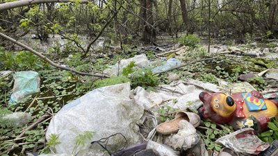 Старе сміттєзвалище у Затишному Старе сміттєзвалище у Затишному