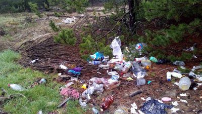 Сміттєвий рейд: за засмічення лісів покарають майже півсотні волинян
