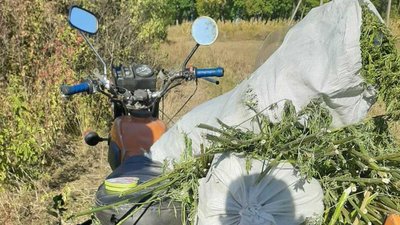 На Житомирщині поліцейські зупинили мотоцикліста з шістьма мішками коноплі На Житомирщині поліцейські зупинили мотоцикліста з шістьма мішками коноплі