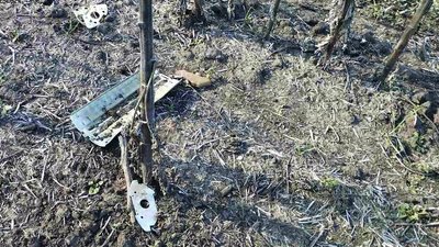 У Криворізькому районі піротехніки знешкодили 31 одницю сучасних протипіхотних мін У Криворізькому районі піротехніки знешкодили 31 одницю сучасних протипіхотних мін