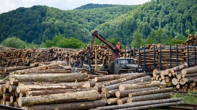 У Вигоді на Івано-Франківщині відкрили цех із перероблення деревини У Вигоді на Івано-Франківщині відкрили цех із перероблення деревини