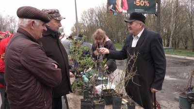 У Хмельницькому проводять виставку-ярмарок "Квітуча Україна": що там можна придбати