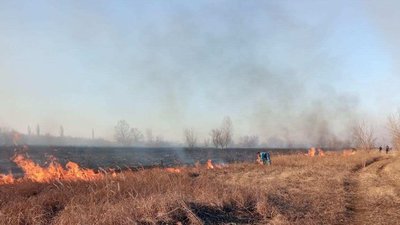 Пожежа під Олешками на Херсонщині. Міський голова закликає жителів допомогти рятувати територію