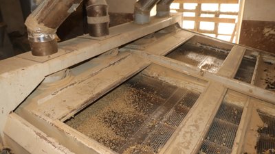 Охтирський хлібокомбінат на Сумщині планують виставити на аукціон Охтирський хлібокомбінат на Сумщині планують виставити на аукціон