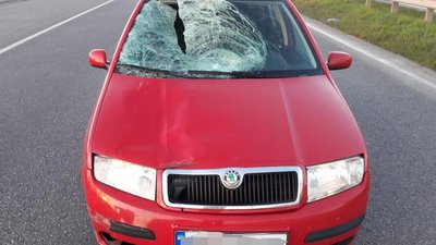 Смертельна ДТП на Вінниччині: поліція відкрила кримінальне провадження