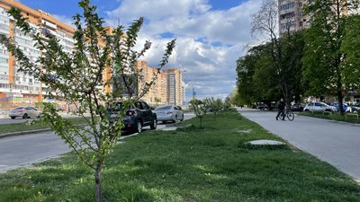 сакури харків сакури харків