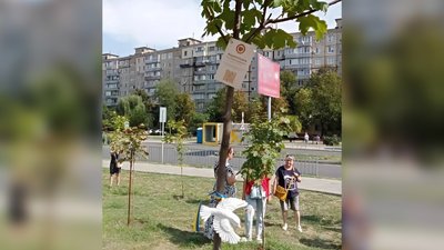 "Присвятити одне дерево трьом загиблим — це неповага". Чому пам'ятна алея в Кропивницькому не влаштовує рідних бійців "Присвятити одне дерево трьом загиблим — це неповага". Чому пам'ятна алея в Кропивницькому не влаштовує рідних бійців