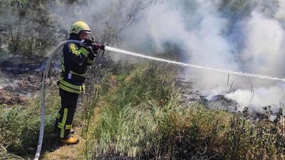 15 пожеж за добу: рятувальники Черкащини ліквідували займання на відкритих територіях