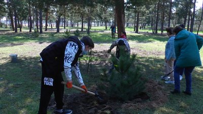У Миколаєві містяни та працівники ДЖКГ висадили близько тисячі дерев