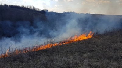 На Харківщині за добу рятувальники гасили 48 пожеж в екосистемах На Харківщині за добу рятувальники гасили 48 пожеж в екосистемах