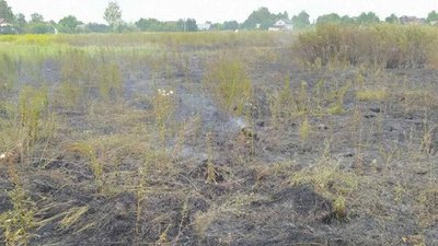 У полі у Житомирському районі загорівся комбайн