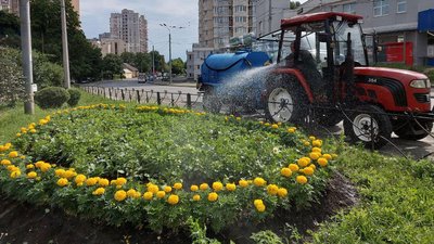 правила догляду за зеленими насадженнями