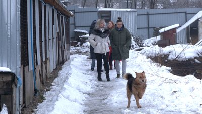 Депутати Рівнеради відвідали бездомних собак і вирішили оновити програму утримання тварин в місті