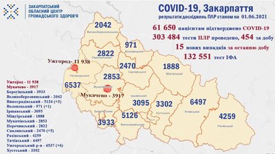За добу на Закарпатті виявили 25 нових випадків COVID-19, 1 людина померла За добу на Закарпатті виявили 25 нових випадків COVID-19, 1 людина померла