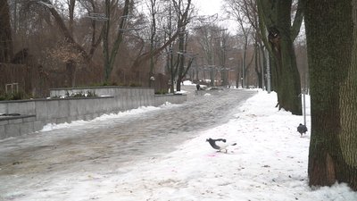 У Дніпрі, спускаючись з гірки на санчатах, загинув чоловік: нові подробиці