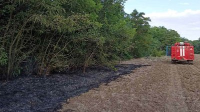 На Херсонщині за добу - понад 10 пожеж в екосистемах