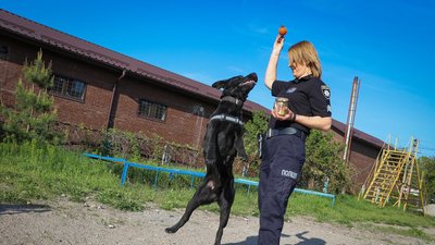 Запорізький пес-полійцейський допомагає виявляти боєприпаси Запорізький пес-полійцейський допомагає виявляти боєприпаси