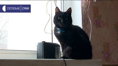 "Намагаємось заощаджувати" – жительки селища на Сумщині про субсидії та пільги "Намагаємось заощаджувати" – жительки селища на Сумщині про субсидії та пільги