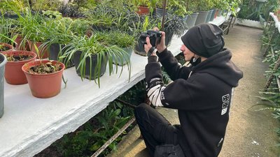 "Від сніжно-білих до ніжно-рожевих і червоних кольорів": у Криворізькому ботанічному саду квітнуть азалії "Від сніжно-білих до ніжно-рожевих і червоних кольорів": у Криворізькому ботанічному саду квітнуть азалії