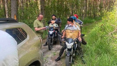 Житомир, чорниці, Поліський заповідник, 19 червня 2024 року