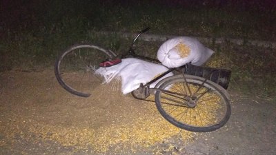 Поліція затримала підозрюваного в смертельній ДТП на Херсонщині Поліція затримала підозрюваного в смертельній ДТП на Херсонщині