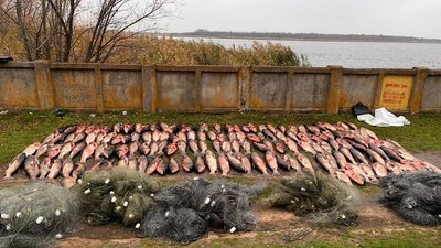 браконьєрство, риба
