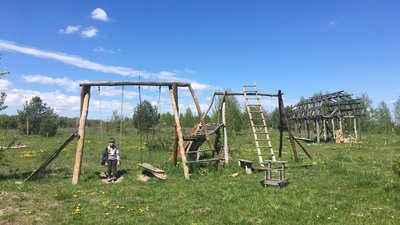 пересилилися в поле пересилилися в поле