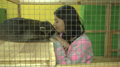 Мерзнуть та відмовляються від їжі. Як виживають тварини в зоопарку, який евакуювався на Хмельниччину