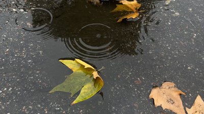 Якою буде погода на Кіровоградщині у перші дні жовтня