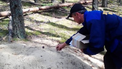 Лісівники Житомирщини розпочали весняну кампанію імунізації диких м'ясоїдних тварин проти сказу Лісівники Житомирщини розпочали весняну кампанію імунізації диких м'ясоїдних тварин проти сказу