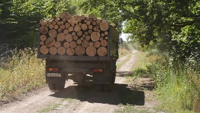 На Кіровоградщині заготовляють дрова на зиму. Які ціни та попит На Кіровоградщині заготовляють дрова на зиму. Які ціни та попит