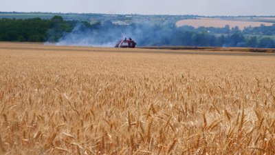 Вторгнення Росії в Україну: ситуація на Запоріжжі. День 134-й