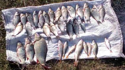 На Чернігівщині рибалки наловили риби на понад 120 тисяч гривень