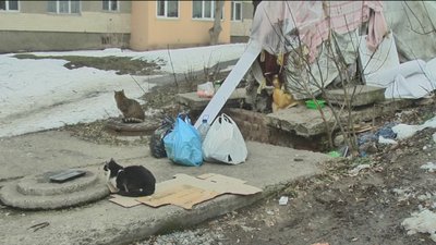 безхатько безхатько