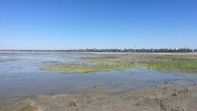 Вміст хімічних речовин у воді в районі Куяльницького лиману перевищує норму в п’ять разів Вміст хімічних речовин у воді в районі Куяльницького лиману перевищує норму в п’ять разів