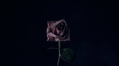 Що таке депресія і чому в ній не соромно зізнатися Що таке депресія і чому в ній не соромно зізнатися