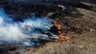 Порятунок з вогняної пастки: на Миколаївщині з полум'я вивели вісім поросят