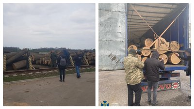 Щомісяця вивозили на 5 млн грн. На Кіровоградщині заблокували нелегальний експорт деревини Щомісяця вивозили на 5 млн грн. На Кіровоградщині заблокували нелегальний експорт деревини