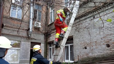 Надзвичайники у Дніпрі знищили рій диких бджіл, які оселилися у стіні житлового будинку Надзвичайники у Дніпрі знищили рій диких бджіл, які оселилися у стіні житлового будинку