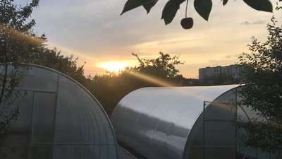 Теплиці благодійного фонду "Майбутнє сиріт" Теплиці благодійного фонду "Майбутнє сиріт"