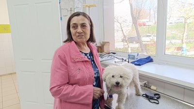 собака Роні