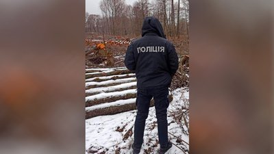 Спиляв дерева на понад 4 мільйони гривень: на Чернігівщині чоловіку повідомили про підозру Спиляв дерева на понад 4 мільйони гривень: на Чернігівщині чоловіку повідомили про підозру