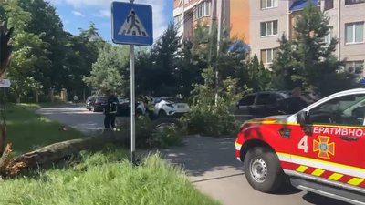 Місце, де на хлопця впало дерево