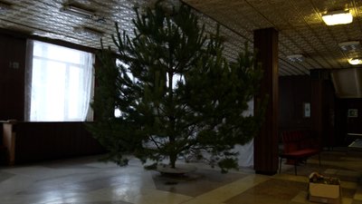 Скільки грошей на святкування Нового року витратили у найбільших містах Чернігівщини Скільки грошей на святкування Нового року витратили у найбільших містах Чернігівщини