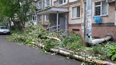У Корабельному районі Миколаєва буревій повалив дерева. Одне з них заблокувало вихід з під’їзду